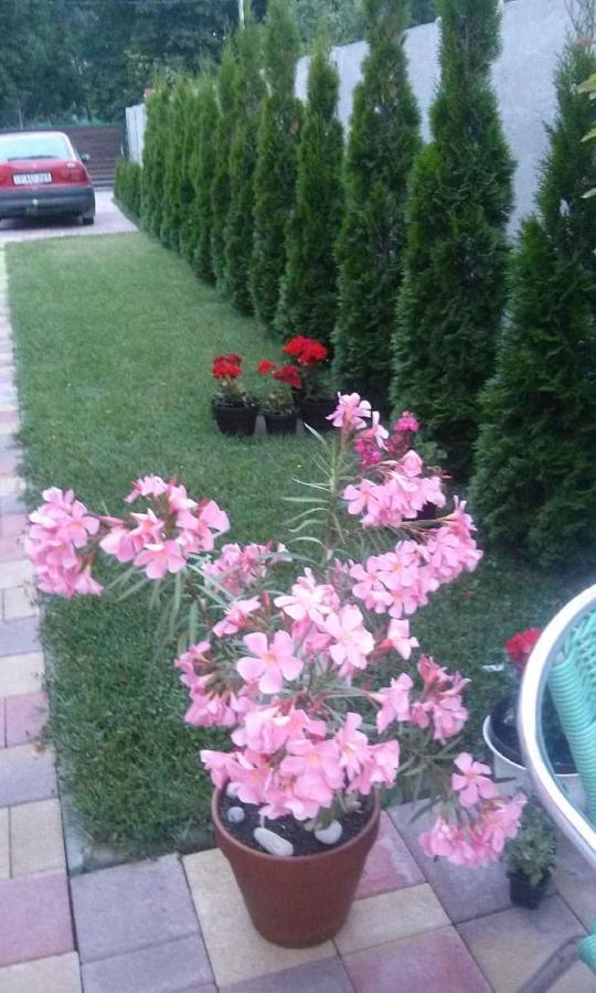 In Keszthely/balaton 39648 Holiday home
